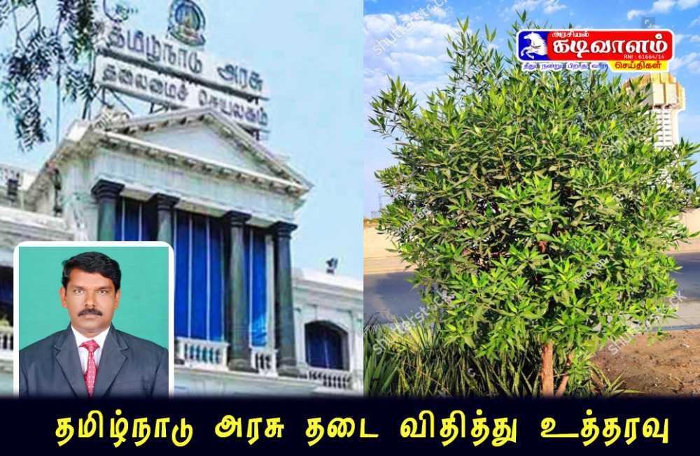 சுற்றுச் சூழலை பாதிக்கும் கோனோகார்பஸ் மரத்திற்கு தடை விதித்து தமிழக அரசு உத்தரவு 