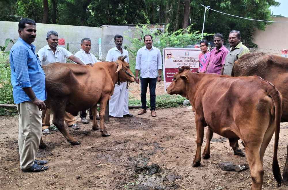 ஆத்தூரில் கால்நடை நோய் தடுப்பூசி முகாம்